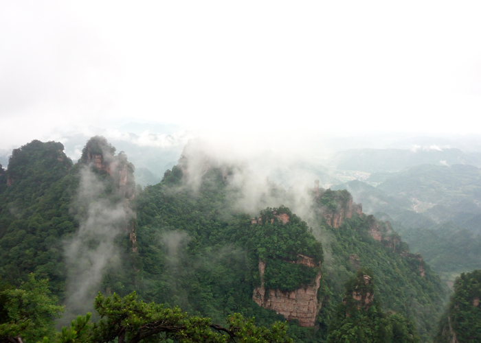 ������Ե(�й���)�ٷ���վ