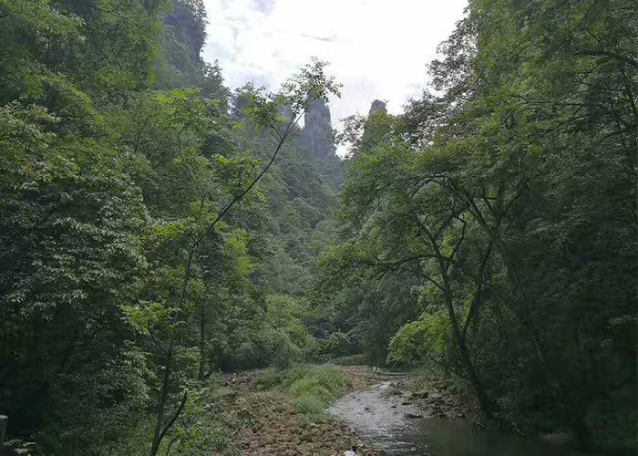 ������Ե(�й���)�ٷ���վ